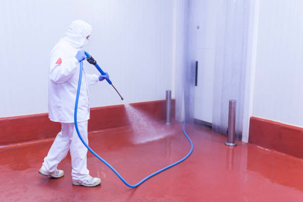Trusted Halfway, MD Pressure Washing Experts